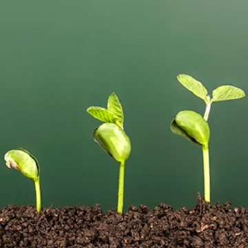 Motivate You To Succeed